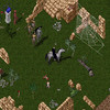 Capture de Ultima Online