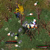 Capture de Ultima Online