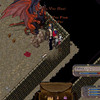 Capture de Ultima Online