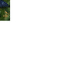 Capture de Ultima Online