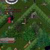 Capture de Ultima Online