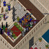 Capture de Ultima Online