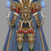 Elfe paladin