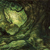 Illustration d'une Forest