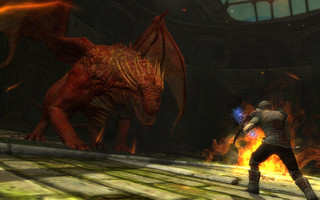 Dragon Dragon