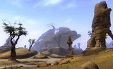 Rift Rift