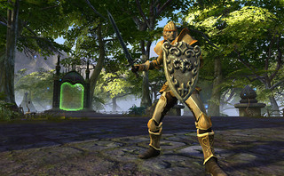 Paladin Paladin