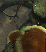 Rift