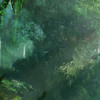 Jungle de Paikang
