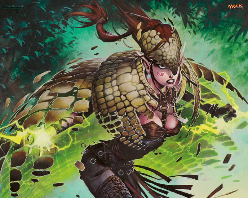 Fond d'�cran Armadillo Cloak