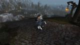 Un loup sur un cheval Oo
