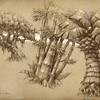Capture de World of Warcraft: Cataclysm