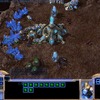 Capture de StarCraft II: Wings of Liberty