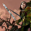Siege of Mirkwood