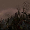 Mirkwood