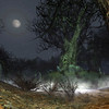 Siege of Mirkwood