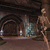 Capture de EverQuest II: Sentinel's Fate