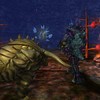 Capture de EverQuest II: Sentinel's Fate