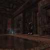 Capture de EverQuest II: Sentinel's Fate