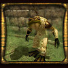 Capture de EverQuest II