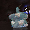 Capture de EverQuest II