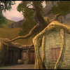 Capture de EverQuest II