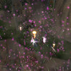 Capture de EverQuest II