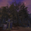 Capture de EverQuest II