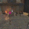 Capture de EverQuest II
