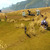 ArcheAge