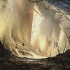 Capture de Magic the Gathering Online: Rise of the Eldrazi