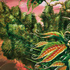 Capture de Magic the Gathering Online: Rise of the Eldrazi