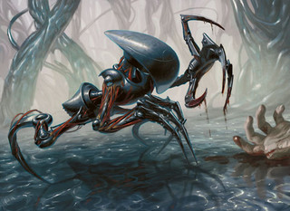Illustration de l'Ichorclaw Myr Illustration de l'Ichorclaw Myr