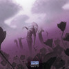 Capture de Magic the Gathering Online: Urza's Saga