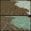 Capture de Asheron's Call