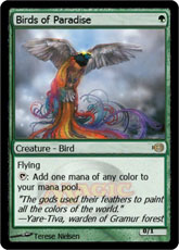 Version alternative du Birds of Paradise Version alternative du Birds of Paradise