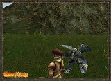 Capture