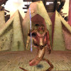 Capture de Guild Wars