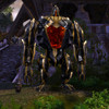 Capture de Guild Wars