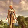 Capture de Guild Wars