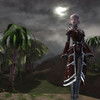 Capture de Guild Wars