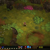 Capture de Torchlight II