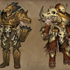 Capture de Torchlight II