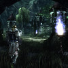 Capture de NeverWinter