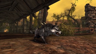 Image de Neverwinter #58189 Image de Neverwinter #58189