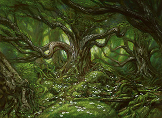 Illustration d'une Forest Illustration d'une Forest