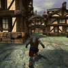 Capture de Asheron's Call 2