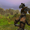 Capture de Asheron's Call 2