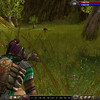 Capture de Asheron's Call 2