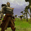 Capture de Asheron's Call 2